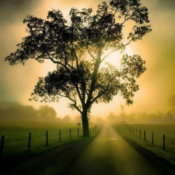 Meet your Posher, Angela - Picture 1 of 1